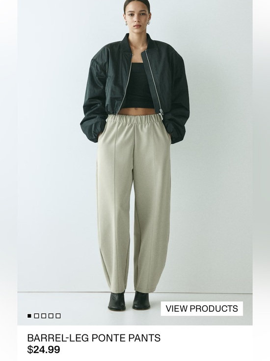 H&M Pants - H&M pants